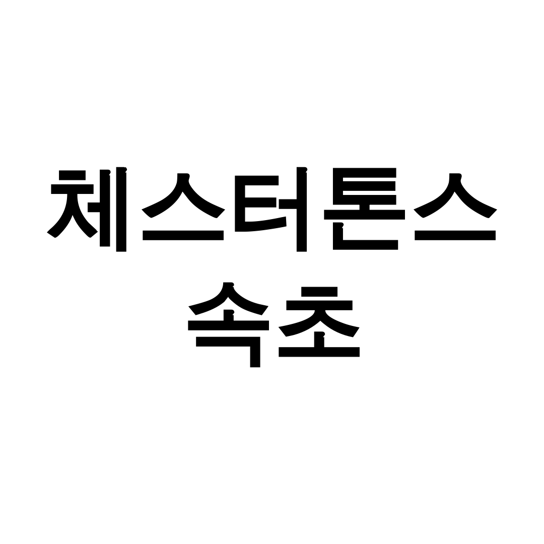 체스터톤스 속초